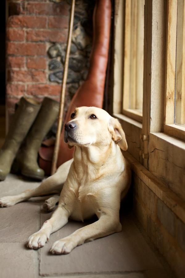 The Packhorse Inn ニューマーケット エクステリア 写真